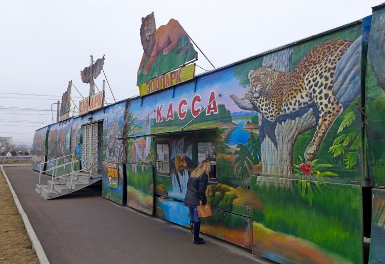 Московский передвижной зоопарк в г. Ессентуки - 38