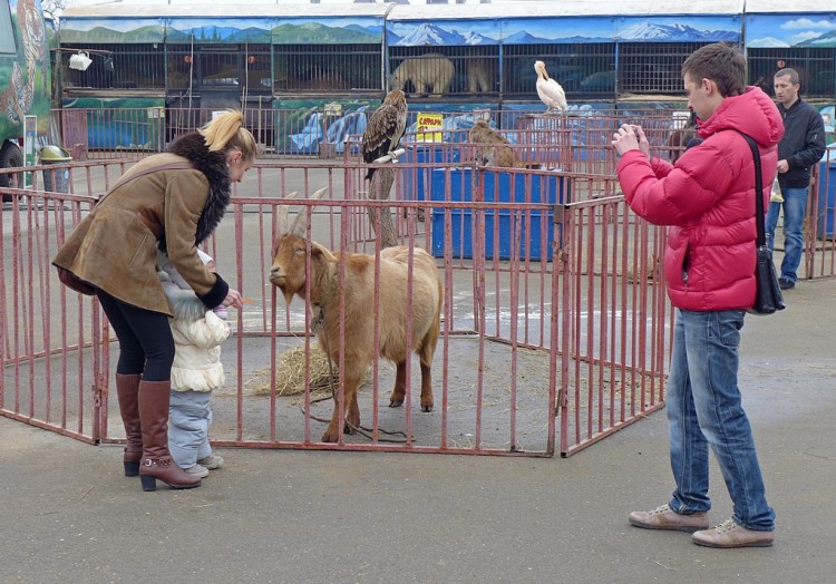 Московский передвижной зоопарк в г. Ессентуки - 40