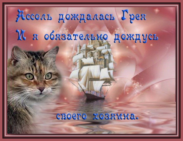 Мы в ответе за братьев, за тех, кого приручили - пухнастик и корабль