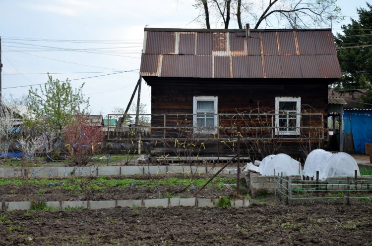 Наш милый и родной дом, в котором мы живем № 02 - DSC_2804.JPG