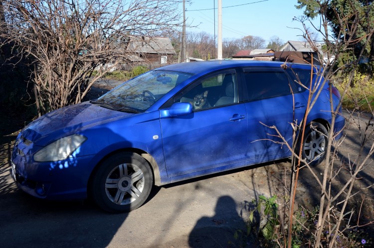 Наша теперь любимая машина - Toyota Caldina № 02 - DSC_0898.JPG