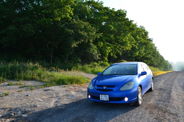 Наша теперь любимая машина - Toyota Caldina № 02 - DSC_2925.JPG