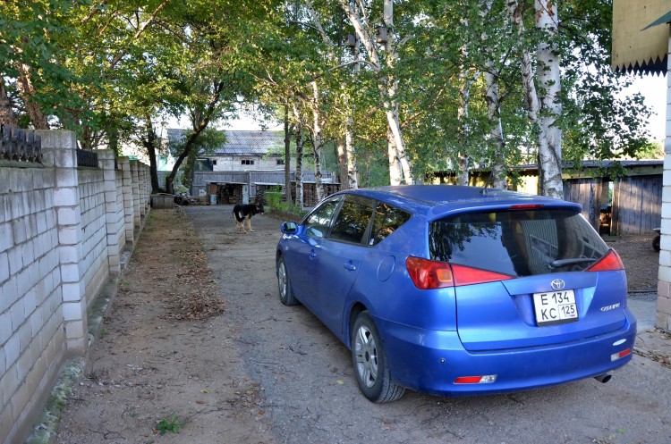 Наша теперь любимая машина - Toyota Caldina № 02 - DSC_3408.JPG