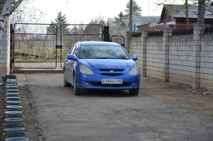 Наша теперь любимая машина - Toyota Caldina № 02 - DSC_6139.JPG