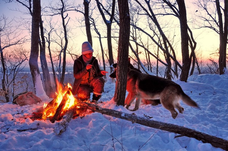 Они живут рядом с нами. Наши Животинки № 10 - DSC_7611.JPG