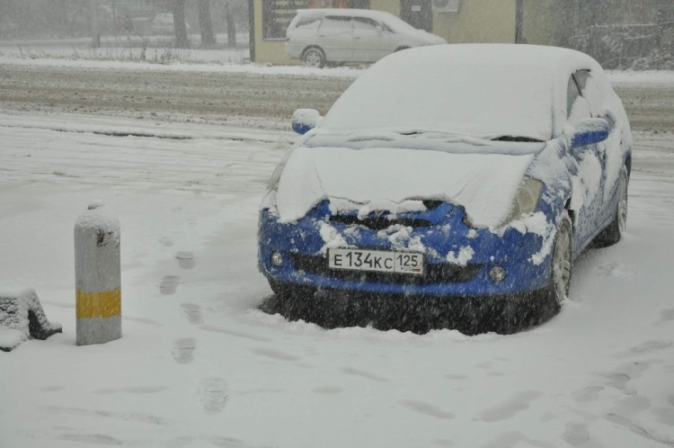 Осень настала, холодно стало, птицы... 2014 год № 03 - DSC_7380.JPG