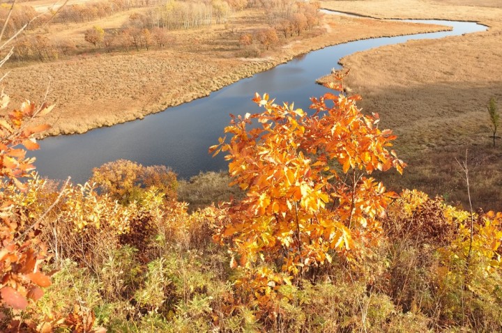Осень, осень, лес остыл и листья ... 2012 год - DSC_3101.JPG