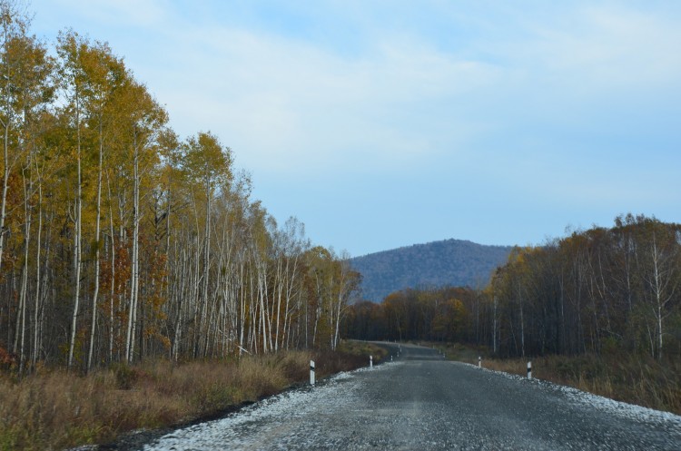 Осень Приморского края. 2013 год - DSC_8055.JPG