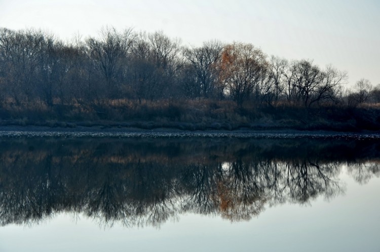 Параллельные миры. Отражения в воде всего, что можно - DSC_1730.JPG