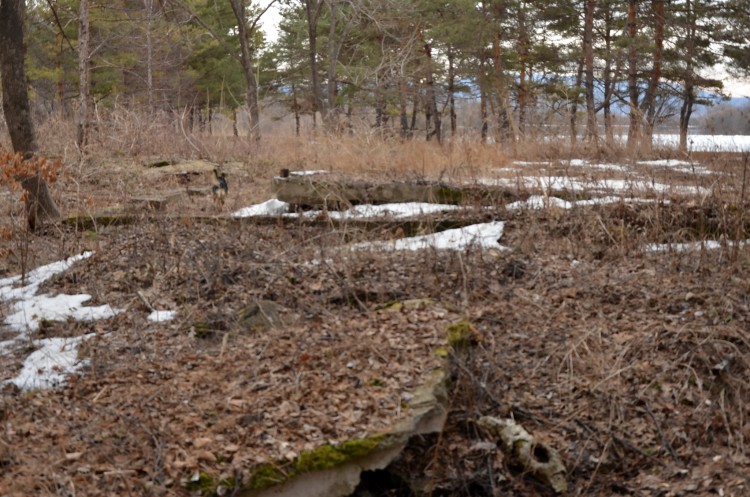 Поселок Кировский в Кировском районе Приморья № 02 - DSC_2271.JPG