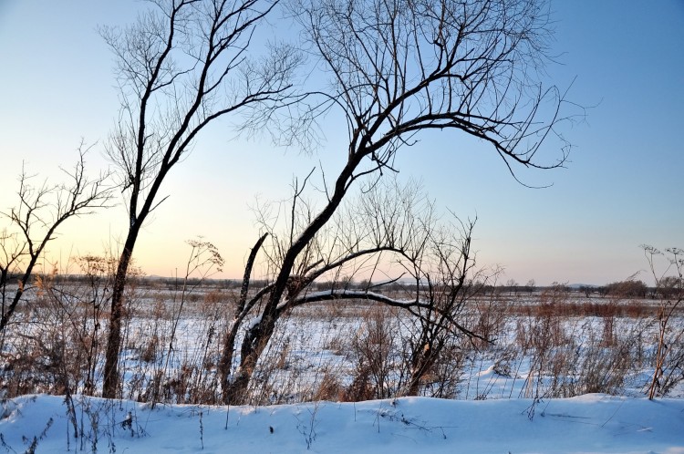 Посленовогодние покатушки по долам Приморья - DSC_3871.JPG