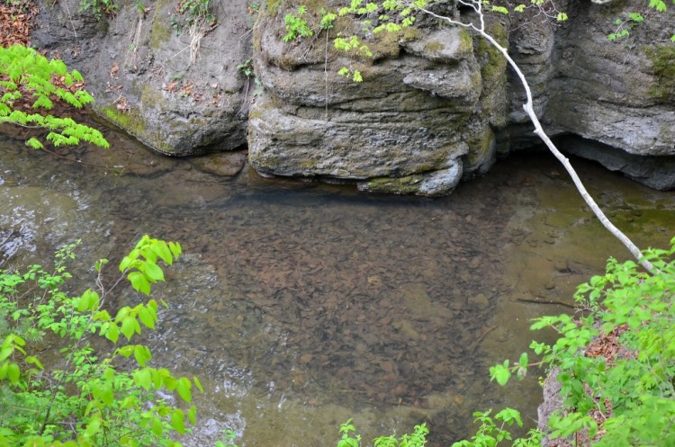 Приморский край. Кравцовские Водопады. Часть 02 - DSC_5887.JPG