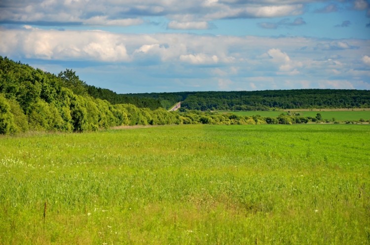 Приморский край наш. Дороги, виды, красоты, море № 01 - DSC_3944.JPG