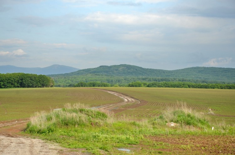 Приморский край наш. Дороги, виды, красоты, море № 01 - DSC_7541