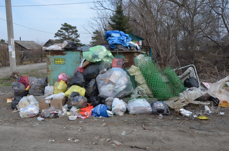 Путинская мусорная реформа дала сбой. Статья 21 - DSC_4407.JPG