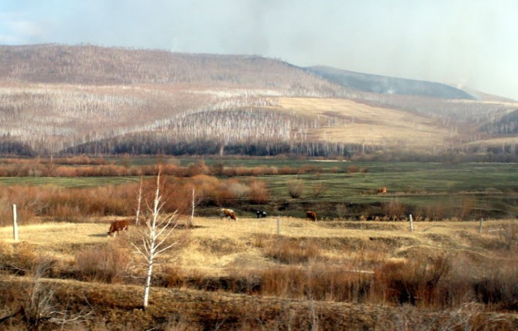 Страна наша из окна поезда с юга на восток - dsc08