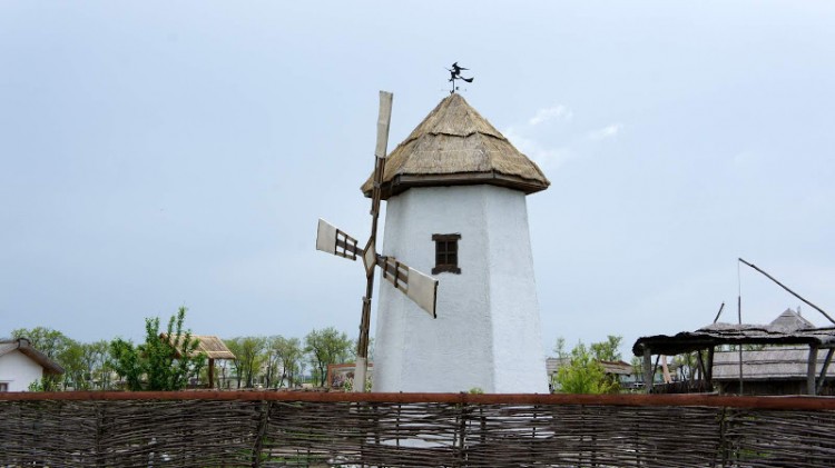 Таманский полуостров на Азове в Краснодарском - DSC01216.JPG