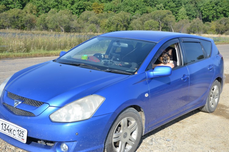 У нас новая машинка появилась - Toyota Caldina № 01 - DSC_5724.JPG