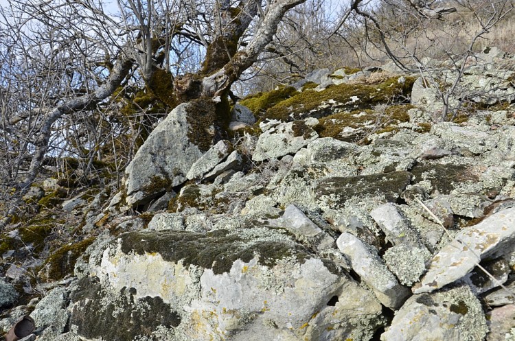 Удивительная гора Бештау на Ставрополье. - _DSC2174коп.JPG