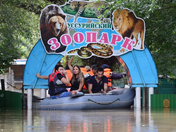 Ужасная катастрофа в зоопарке "Зеленый остров" - 71de4084d2