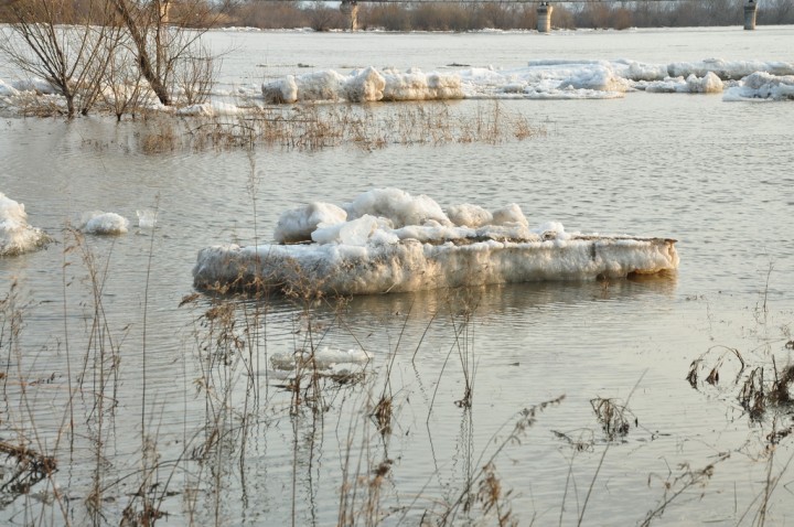 Весна-красна пришла в наши края. 2013 год - DSC_6812.JPG