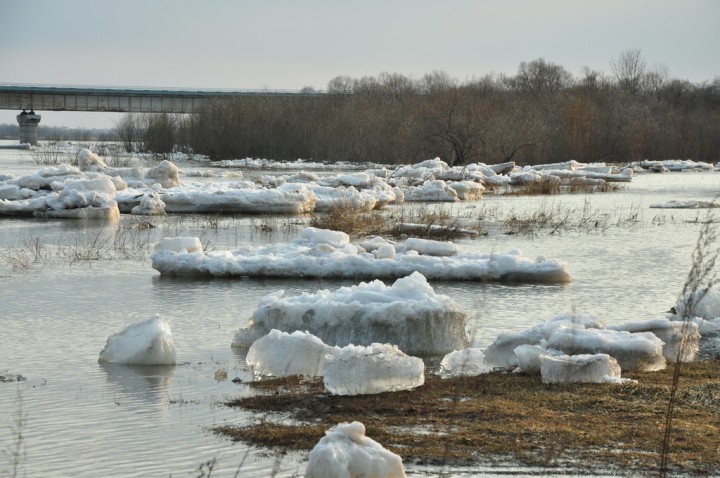 Весна-красна пришла в наши края. 2013 год - DSC_6817.JPG