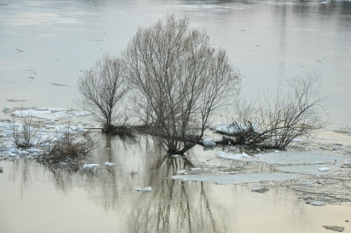 Весна-красна пришла в наши края. 2013 год - DSC_6865.JPG