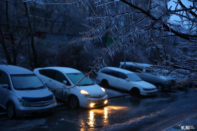 Владивосток встречает второй ледяной дождь 22.11.2021 - 59a2b091a1