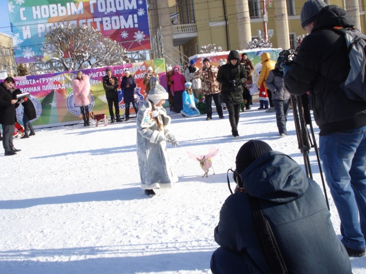 Вот и зима. Вот и зима. Может надолго? 2017 - 2018 - DSC09692.JPG