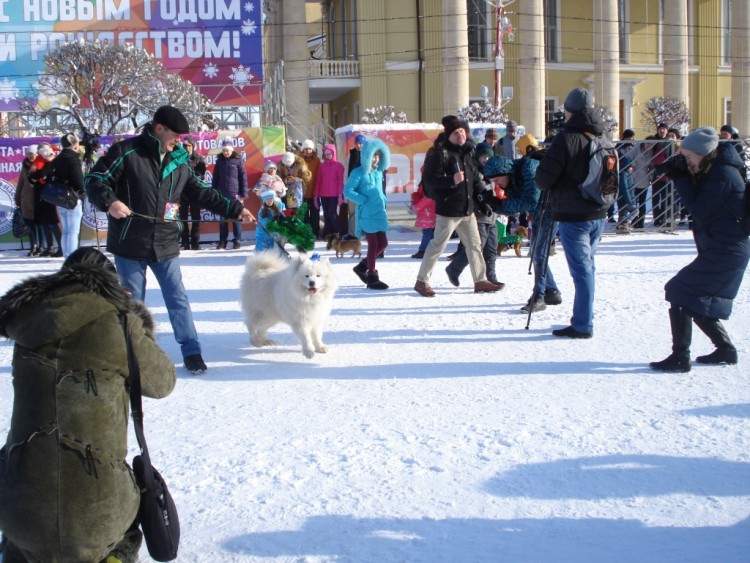 Вот и зима. Вот и зима. Может надолго? 2017 - 2018 - DSC09703.JPG