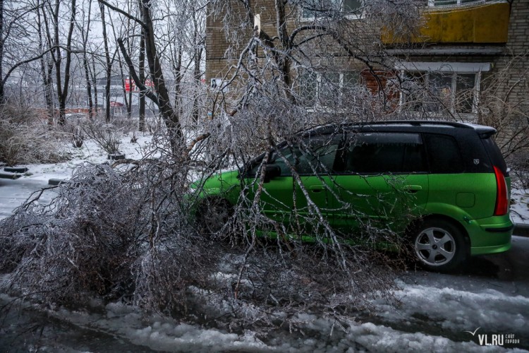 За что непогода издевается над Приморским краем № 02 - a92ba7823f