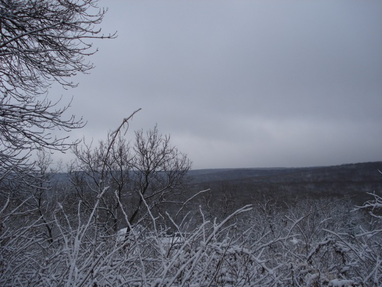 Зима пришла - не отвертишься, не улизнешь № 01 - DSC06121.JPG