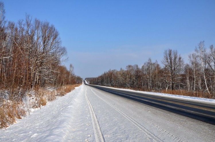 Зима пришла - не отвертишься, не улизнешь № 02 - DSC_0031.JPG