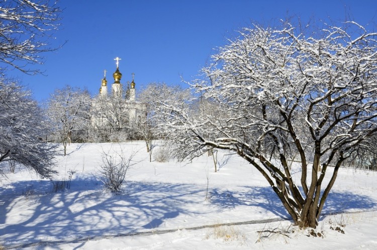 Зима пришла - не отвертишься, не улизнешь № 03 - _DSC2051коп.JPG