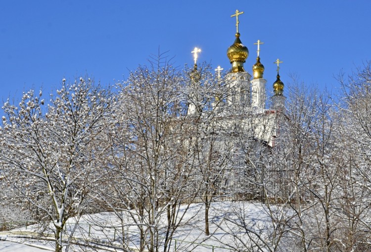 Зима пришла - не отвертишься, не улизнешь № 03 - _DSC2052коп.JPG