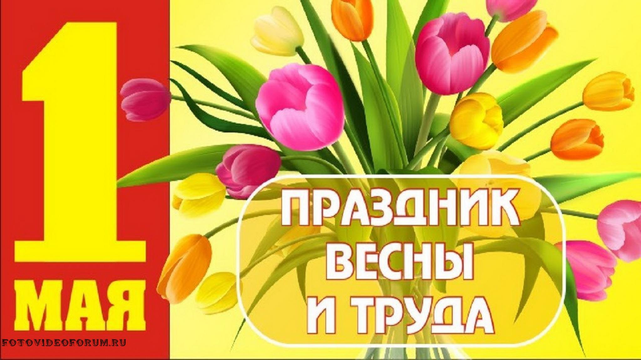 Законы с 1 мая 2024 года. Поздравление с 1 мая. Открытки с 1 мая. 1 Мая праздник весны и труда. Поздравления с первым мая.