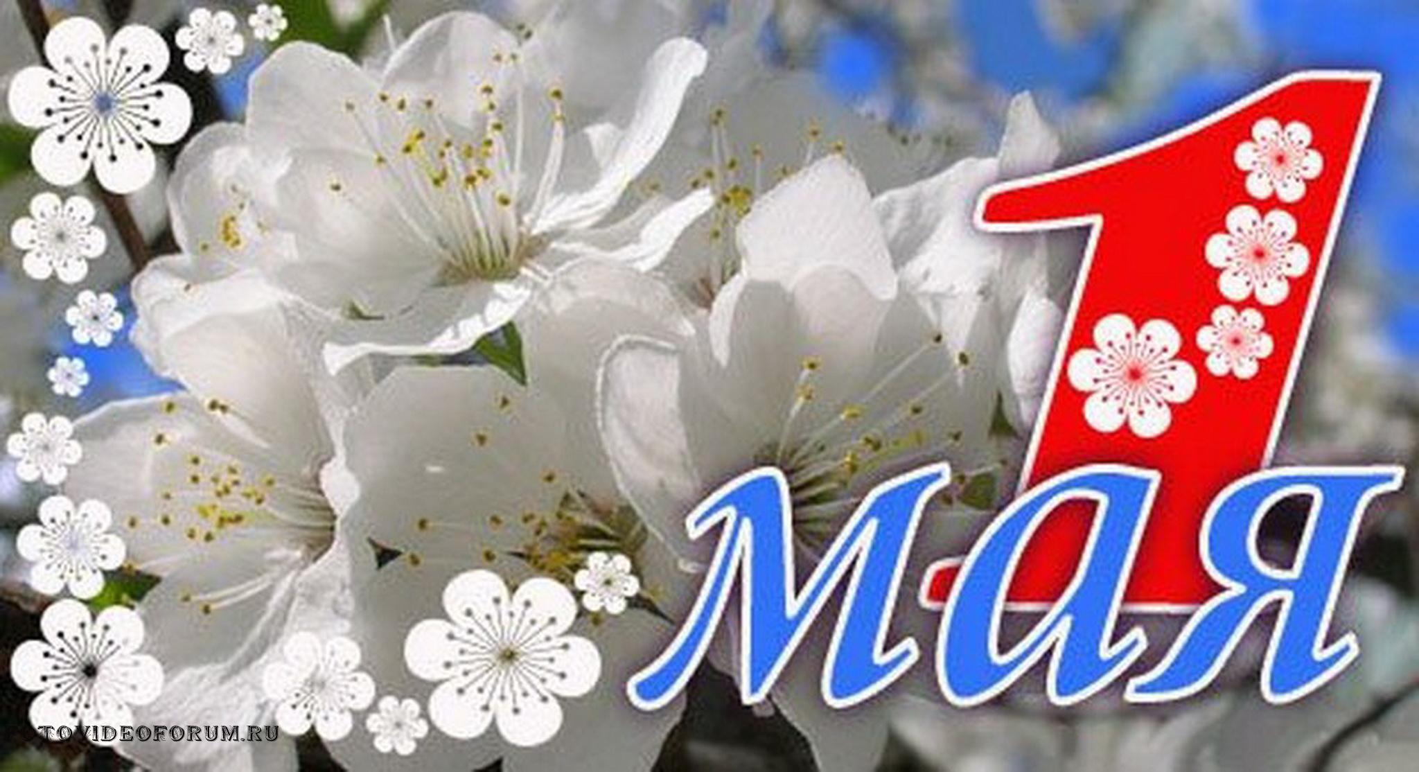 1 мая реклама. Поздравление с 1 мая. Открытки с 1 мая. 1 Мая праздник весны и труда. С праздником весны и труда открытки.