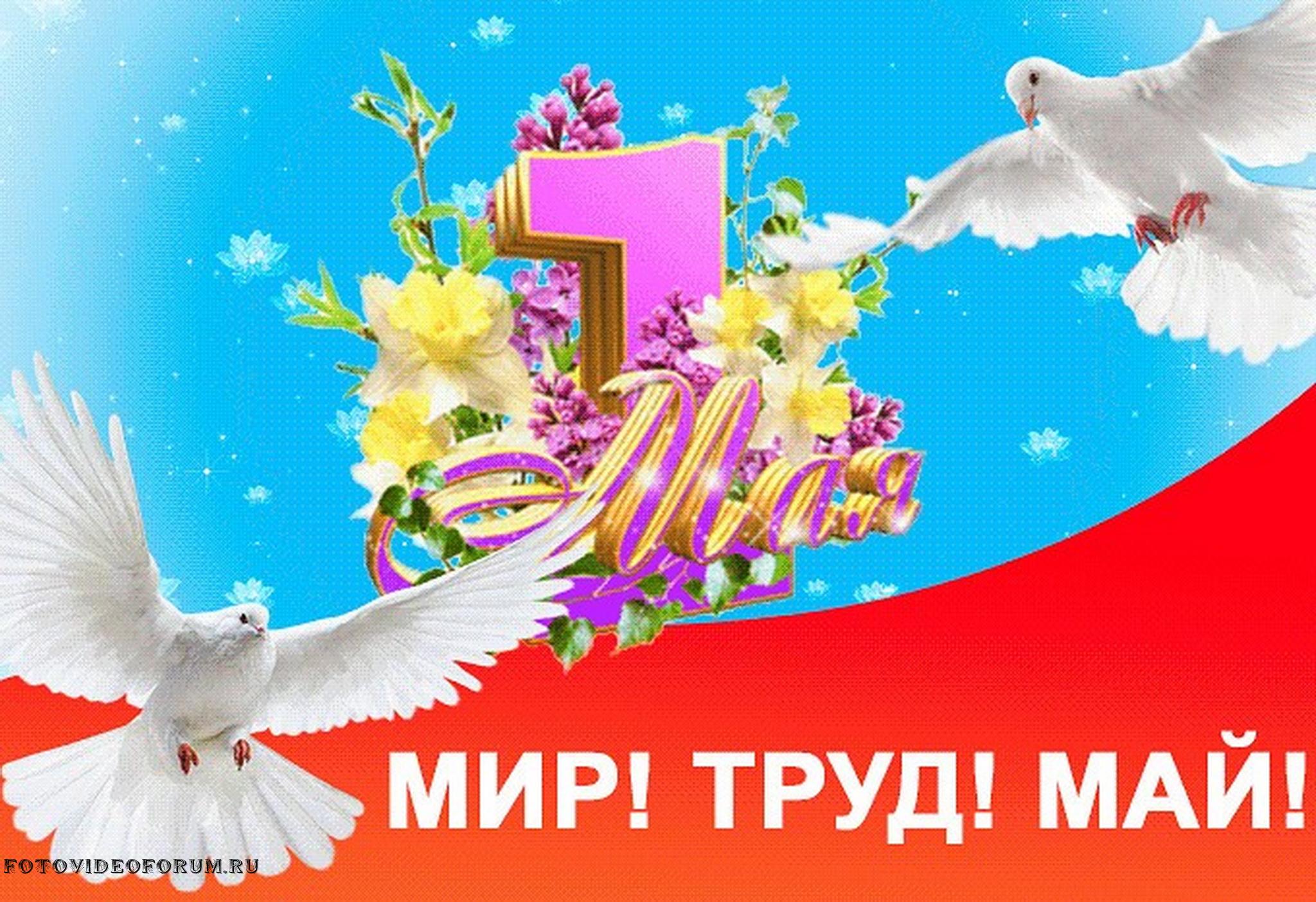 Поздравление с днем первомая. Мир труд май. 1 Мая. Поздравление с 1 мая. 1 Мая праздник.