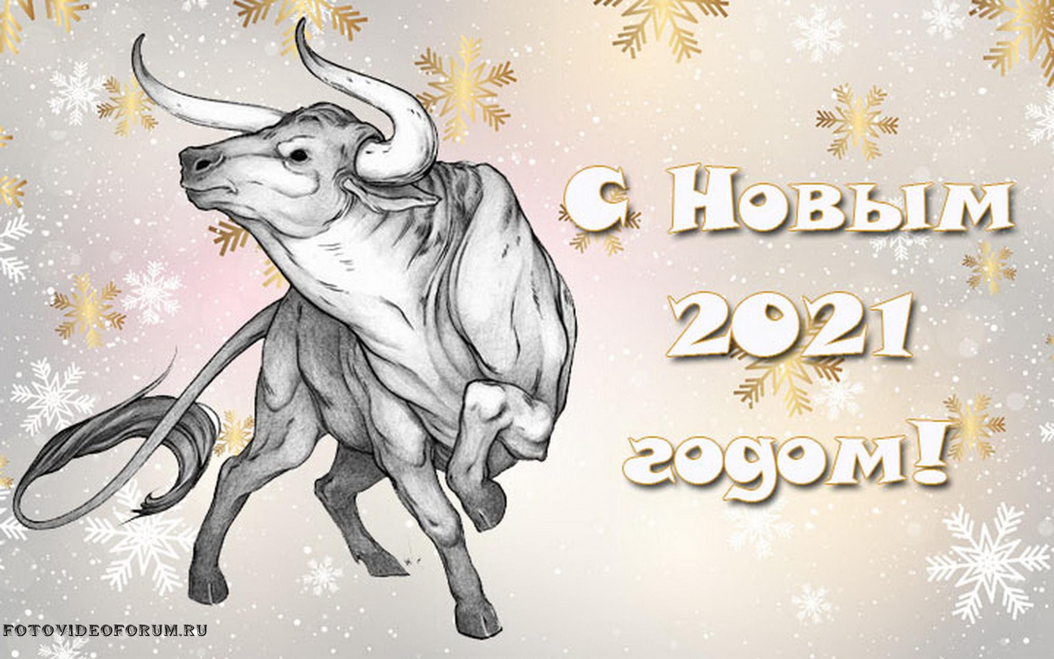 2024 год для года быка. С новым годом. Бык новый год. Новогодние открытки с быком. Открытки на новый год 2021.