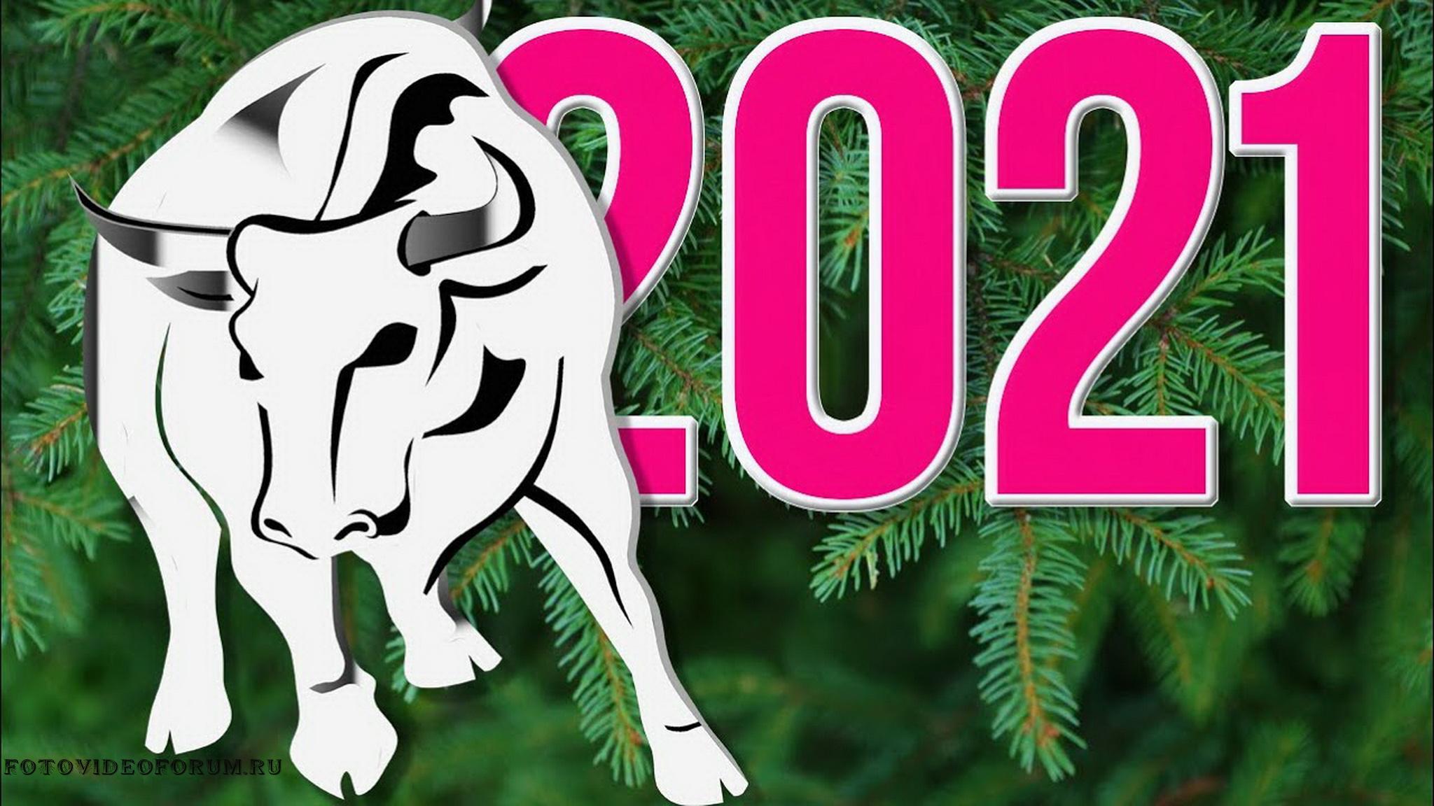 Спортивный год 2021. С новым годом 2021. Символы года. Новогодний бык. Новый год год быка.
