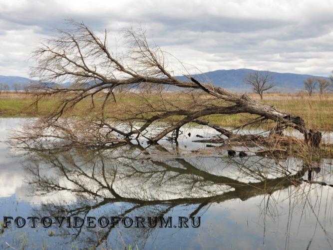 Приморский край