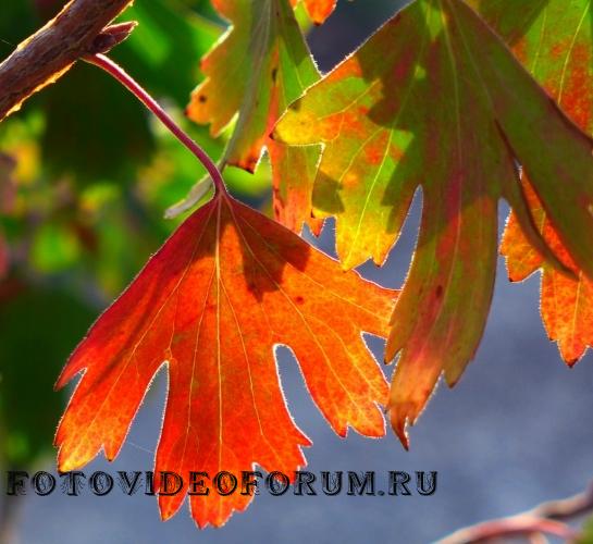 Под козырьком от солнца.