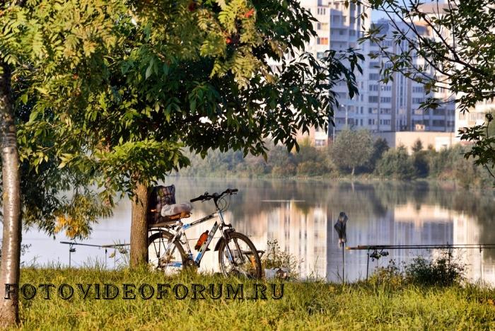 Для утренней жарехи на завтрак