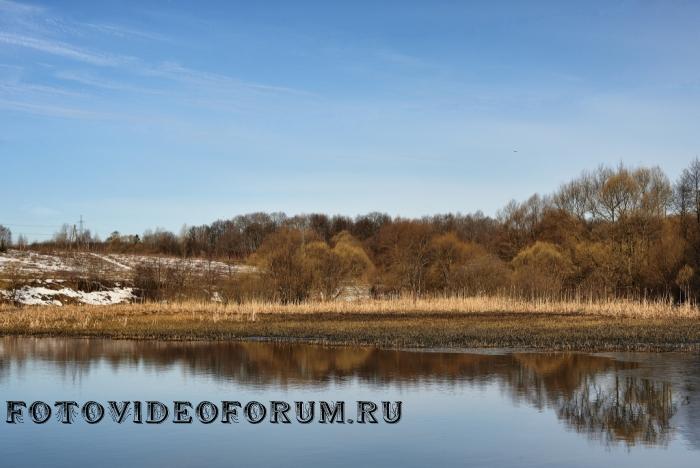 Приди скорей, красавица Весна 04