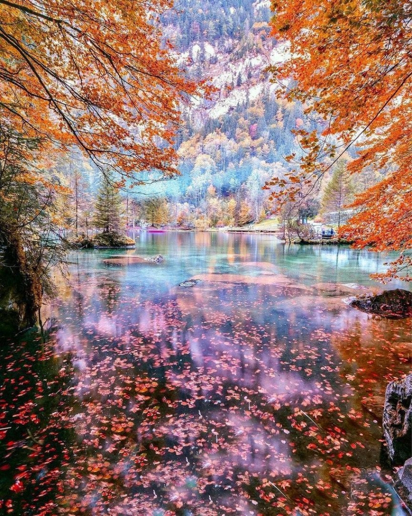 Природа восхитительна. Озеро Блау. Озеро Блаузее. Озеро Блау Швейцария осень. Восхитительный пейзаж.
