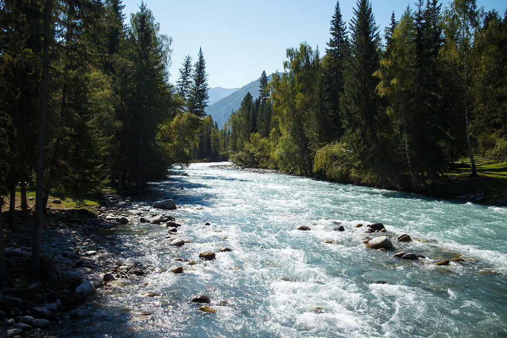 Мульта горный алтай фото