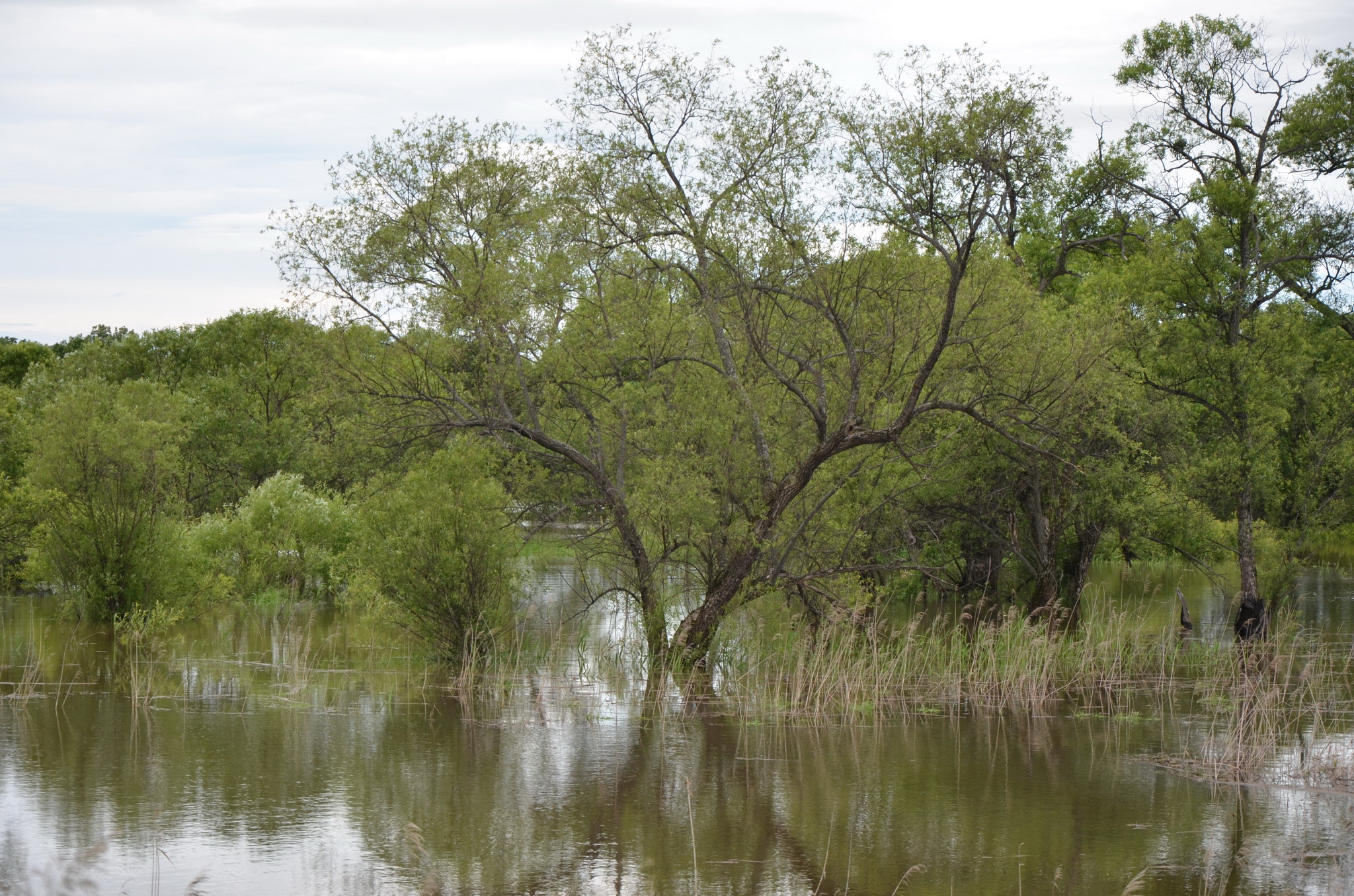 Погода кировский приморский на 10 дней. Село Подгорное Приморский край. Кировский Приморский край. Достопримечательности Приморского края села Кировский.