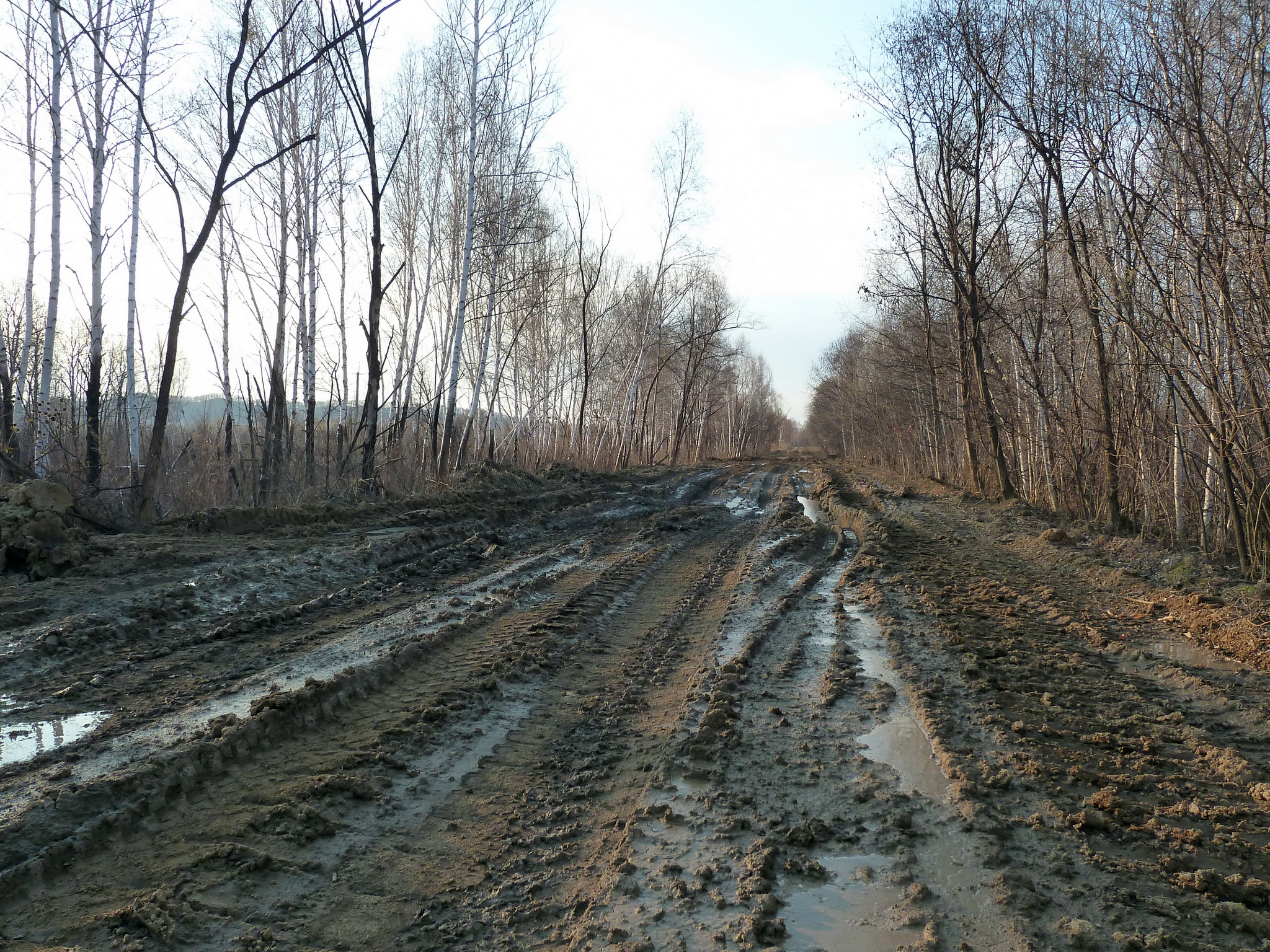 Село преображенка