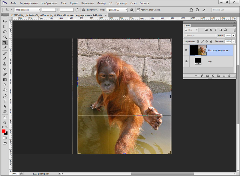 Фотошоп кадрировать изображение