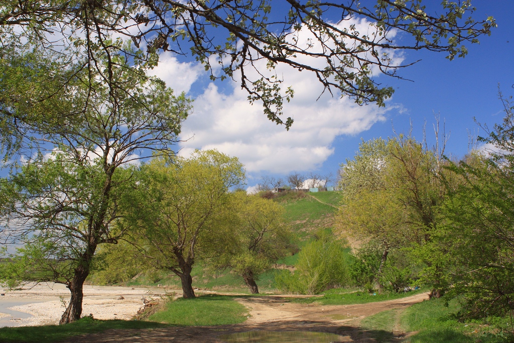 Станица 1. Село Суворовское Ставропольский край. Станица Суворовская парк. Суворовка Ставрополье. Парк в Суворовке Предгорный район.